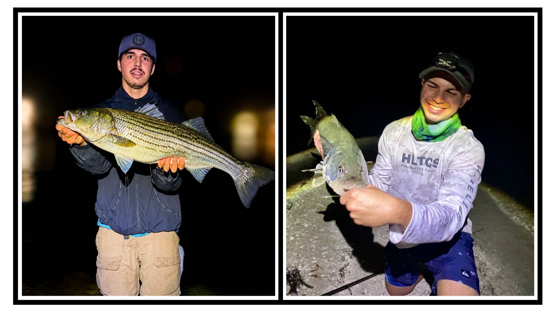 A side-by-side collage of two anglers holding striped bass fish at night. The left photo shows a man in a blue cap and dark jacket holding a large bass.